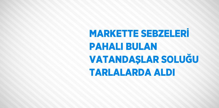 MARKETTE SEBZELERİ PAHALI BULAN VATANDAŞLAR SOLUĞU TARLALARDA ALDI