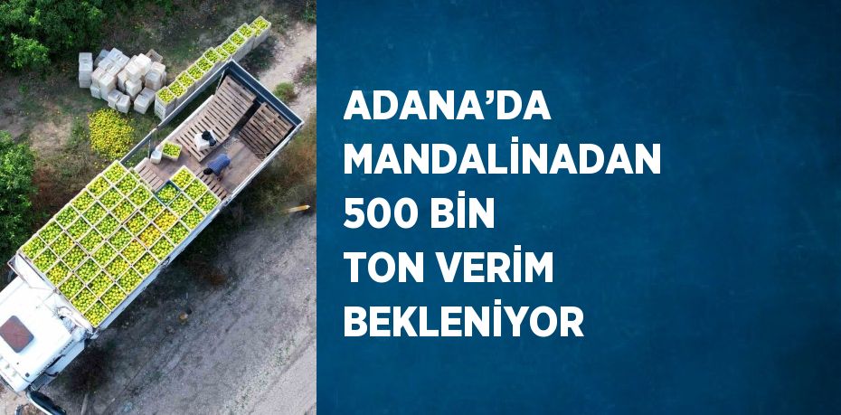 ADANA’DA MANDALİNADAN 500 BİN TON VERİM BEKLENİYOR