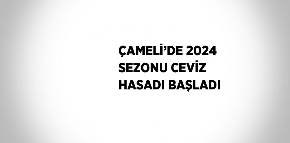 ÇAMELİ’DE 2024 SEZONU CEVİZ HASADI BAŞLADI