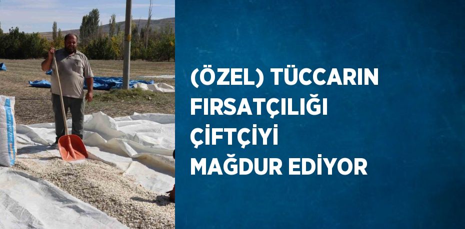 (ÖZEL) TÜCCARIN FIRSATÇILIĞI ÇİFTÇİYİ MAĞDUR EDİYOR