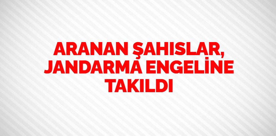 ARANAN ŞAHISLAR, JANDARMA ENGELİNE TAKILDI