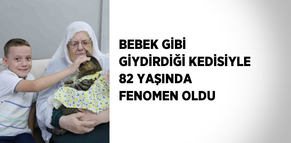 BEBEK GİBİ GİYDİRDİĞİ KEDİSİYLE 82 YAŞINDA FENOMEN OLDU