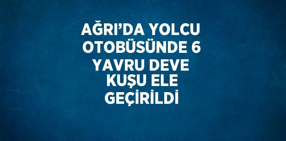 AĞRI’DA YOLCU OTOBÜSÜNDE 6 YAVRU DEVE KUŞU ELE GEÇİRİLDİ