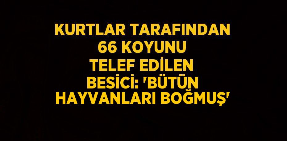 KURTLAR TARAFINDAN 66 KOYUNU TELEF EDİLEN BESİCİ: 'BÜTÜN HAYVANLARI BOĞMUŞ'