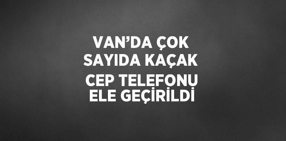 VAN’DA ÇOK SAYIDA KAÇAK CEP TELEFONU ELE GEÇİRİLDİ