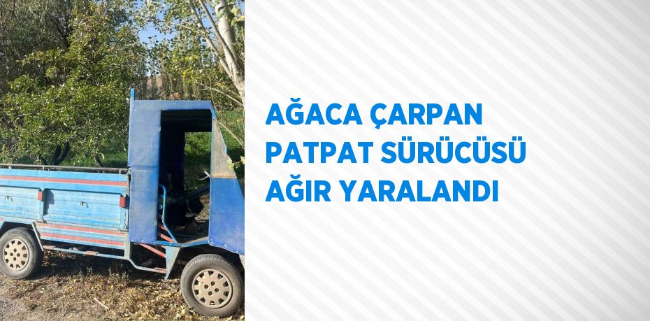 AĞACA ÇARPAN PATPAT SÜRÜCÜSÜ AĞIR YARALANDI