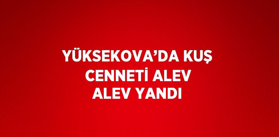 YÜKSEKOVA’DA KUŞ CENNETİ ALEV ALEV YANDI