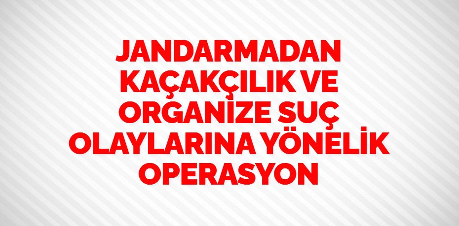 JANDARMADAN KAÇAKÇILIK VE ORGANİZE SUÇ OLAYLARINA YÖNELİK OPERASYON