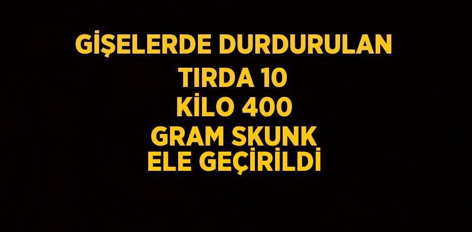 GİŞELERDE DURDURULAN TIRDA 10 KİLO 400 GRAM SKUNK ELE GEÇİRİLDİ