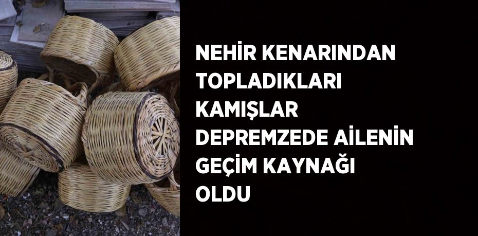 NEHİR KENARINDAN TOPLADIKLARI KAMIŞLAR DEPREMZEDE AİLENİN GEÇİM KAYNAĞI OLDU