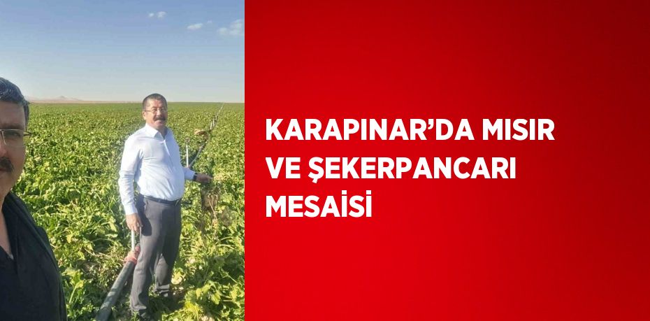 KARAPINAR’DA MISIR VE ŞEKERPANCARI MESAİSİ