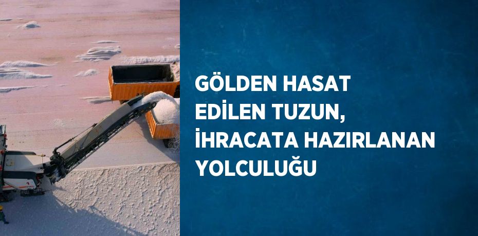 GÖLDEN HASAT EDİLEN TUZUN, İHRACATA HAZIRLANAN YOLCULUĞU