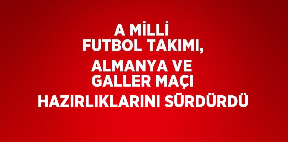 A MİLLİ FUTBOL TAKIMI, ALMANYA VE GALLER MAÇI HAZIRLIKLARINI SÜRDÜRDÜ