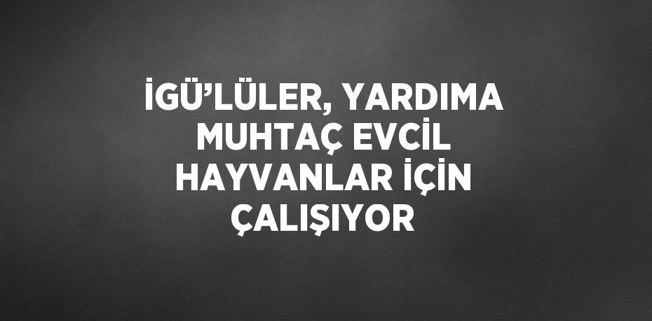 İGÜ’LÜLER, YARDIMA MUHTAÇ EVCİL HAYVANLAR İÇİN ÇALIŞIYOR