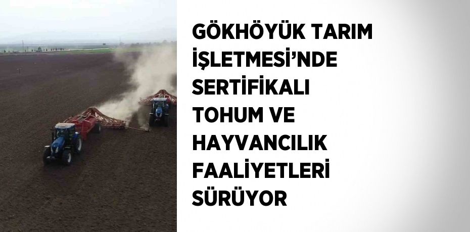 GÖKHÖYÜK TARIM İŞLETMESİ’NDE SERTİFİKALI TOHUM VE HAYVANCILIK FAALİYETLERİ SÜRÜYOR