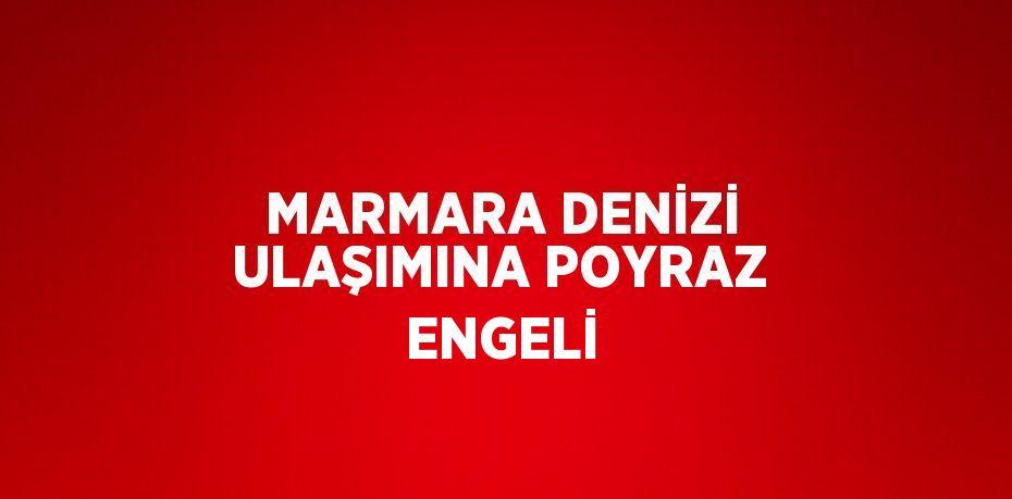 MARMARA DENİZİ ULAŞIMINA POYRAZ ENGELİ