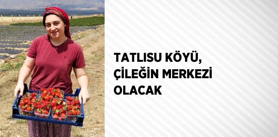 TATLISU KÖYÜ, ÇİLEĞİN MERKEZİ OLACAK