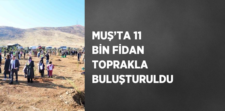 MUŞ’TA 11 BİN FİDAN TOPRAKLA BULUŞTURULDU