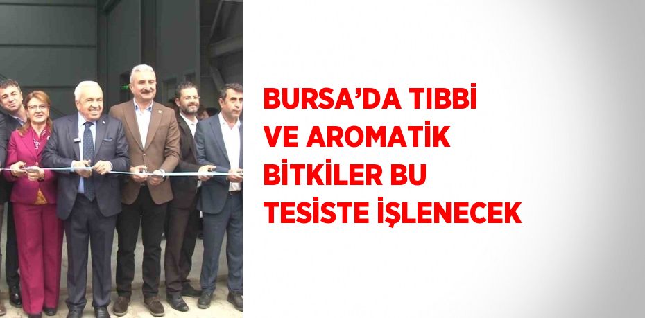 BURSA’DA TIBBİ VE AROMATİK BİTKİLER BU TESİSTE İŞLENECEK