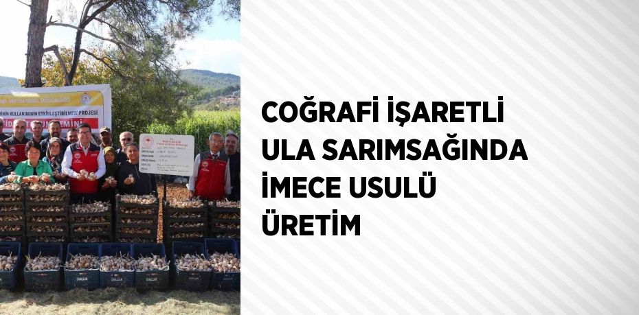 COĞRAFİ İŞARETLİ ULA SARIMSAĞINDA İMECE USULÜ ÜRETİM