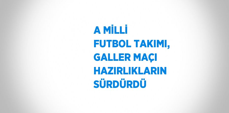 A MİLLİ FUTBOL TAKIMI, GALLER MAÇI HAZIRLIKLARIN SÜRDÜRDÜ