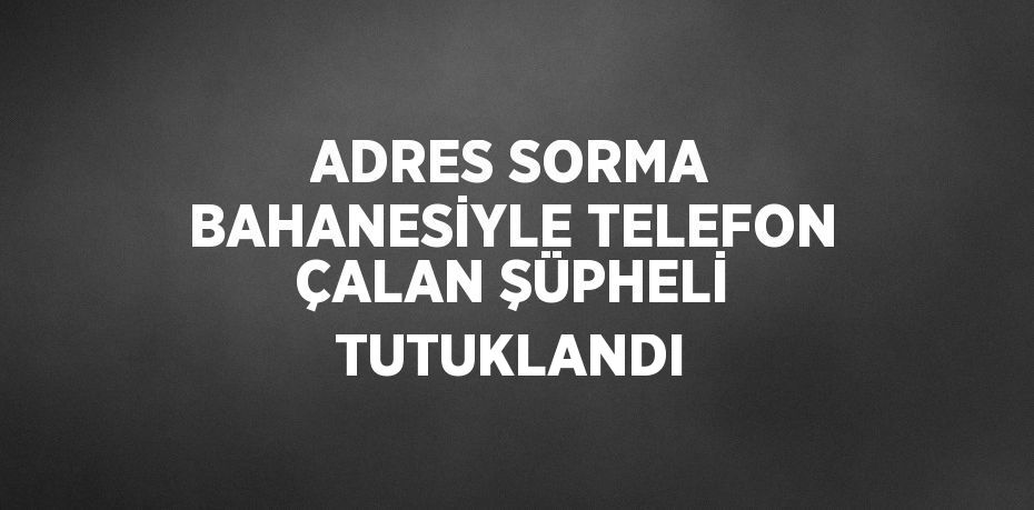 ADRES SORMA BAHANESİYLE TELEFON ÇALAN ŞÜPHELİ TUTUKLANDI