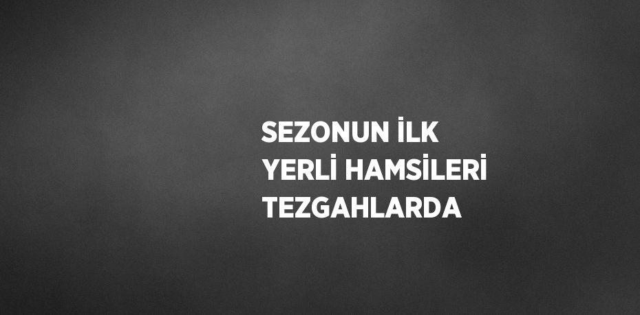 SEZONUN İLK YERLİ HAMSİLERİ TEZGAHLARDA