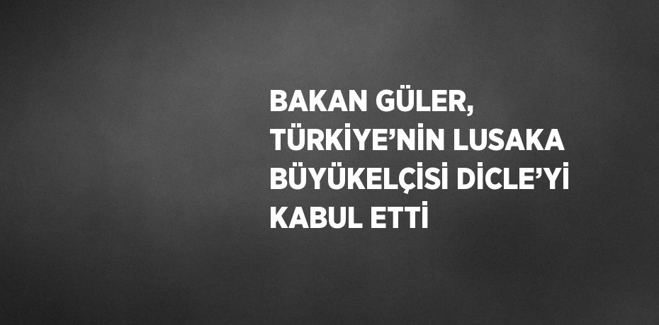 BAKAN GÜLER, TÜRKİYE’NİN LUSAKA BÜYÜKELÇİSİ DİCLE’Yİ KABUL ETTİ