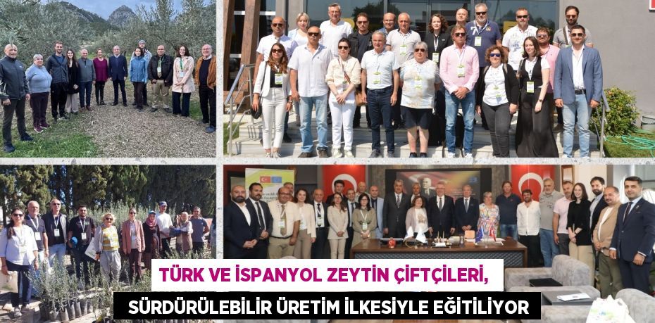 TÜRK VE İSPANYOL ZEYTİN ÇİFTÇİLERİ,    SÜRDÜRÜLEBİLİR ÜRETİM İLKESİYLE EĞİTİLİYOR