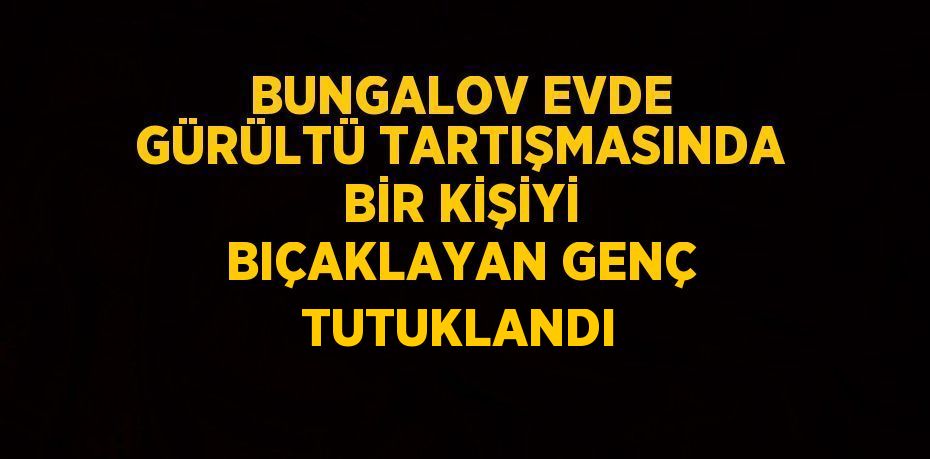 BUNGALOV EVDE GÜRÜLTÜ TARTIŞMASINDA BİR KİŞİYİ BIÇAKLAYAN GENÇ TUTUKLANDI