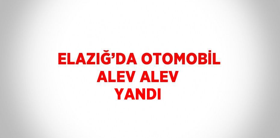 ELAZIĞ’DA OTOMOBİL ALEV ALEV YANDI