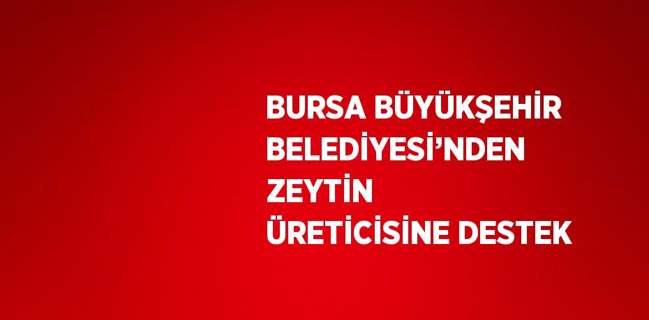 BURSA BÜYÜKŞEHİR BELEDİYESİ’NDEN ZEYTİN ÜRETİCİSİNE DESTEK