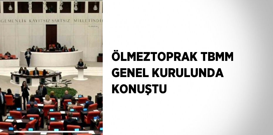 ÖLMEZTOPRAK TBMM GENEL KURULUNDA KONUŞTU