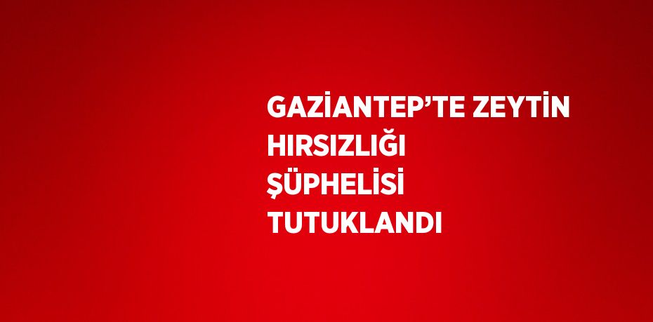 GAZİANTEP’TE ZEYTİN HIRSIZLIĞI ŞÜPHELİSİ TUTUKLANDI