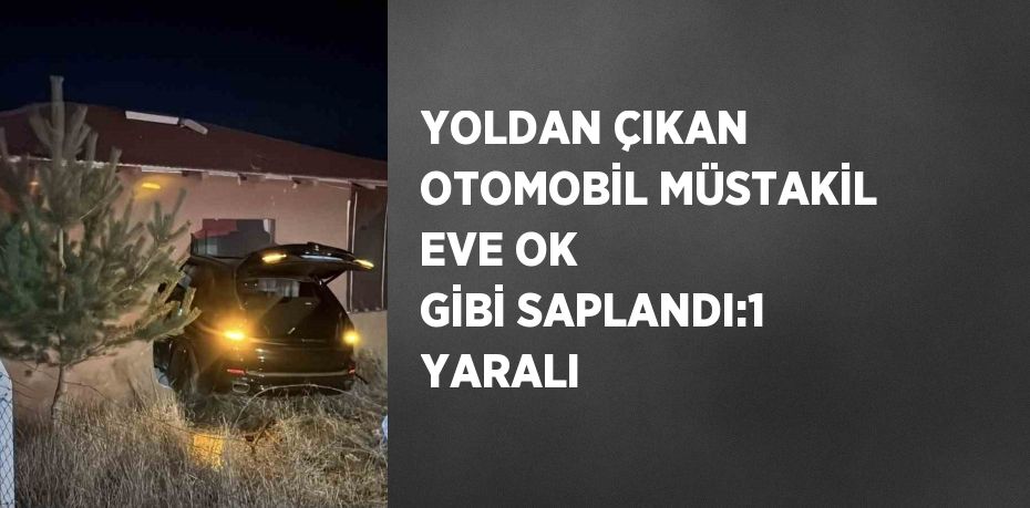 YOLDAN ÇIKAN OTOMOBİL MÜSTAKİL EVE OK GİBİ SAPLANDI:1 YARALI