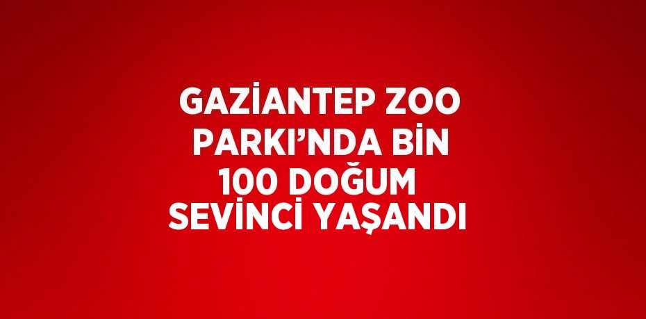 GAZİANTEP ZOO PARKI’NDA BİN 100 DOĞUM SEVİNCİ YAŞANDI