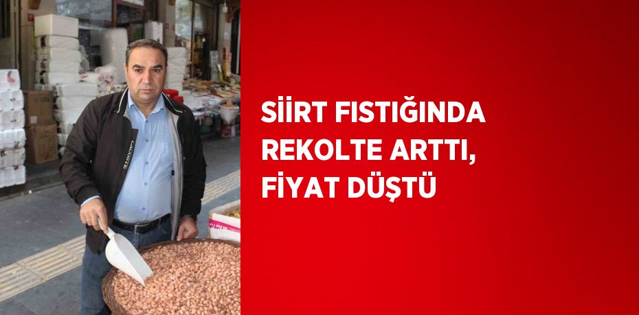 SİİRT FISTIĞINDA REKOLTE ARTTI, FİYAT DÜŞTÜ