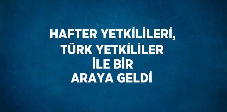 HAFTER YETKİLİLERİ, TÜRK YETKİLİLER İLE BİR ARAYA GELDİ