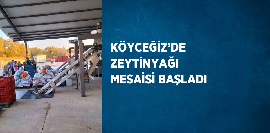 KÖYCEĞİZ’DE ZEYTİNYAĞI MESAİSİ BAŞLADI