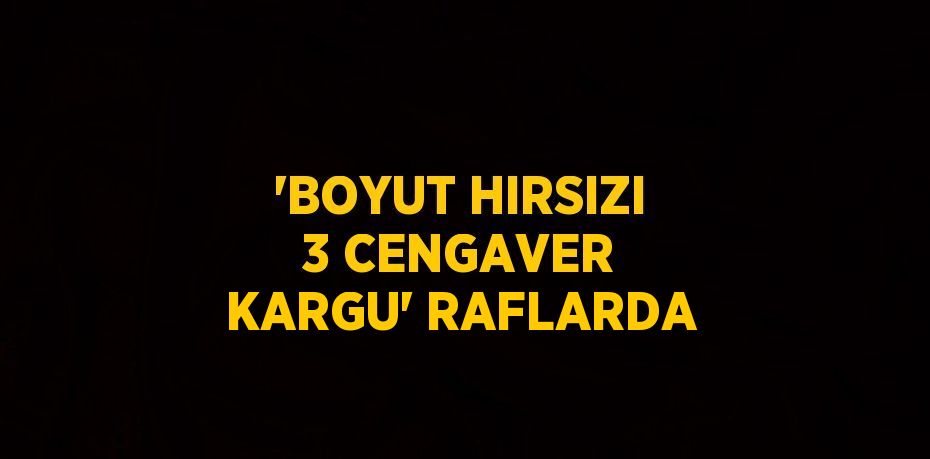 'BOYUT HIRSIZI 3 CENGAVER KARGU' RAFLARDA