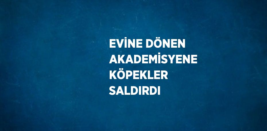 EVİNE DÖNEN AKADEMİSYENE KÖPEKLER SALDIRDI