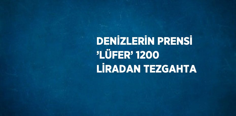 DENİZLERİN PRENSİ ’LÜFER’ 1200 LİRADAN TEZGAHTA