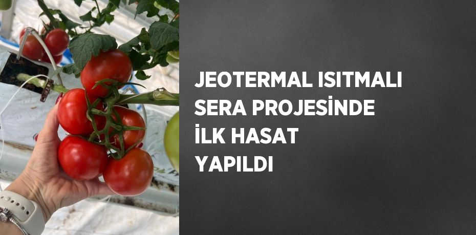 JEOTERMAL ISITMALI SERA PROJESİNDE İLK HASAT YAPILDI