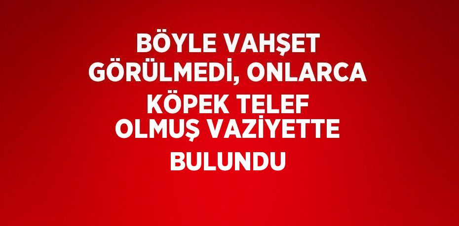 BÖYLE VAHŞET GÖRÜLMEDİ, ONLARCA KÖPEK TELEF OLMUŞ VAZİYETTE BULUNDU