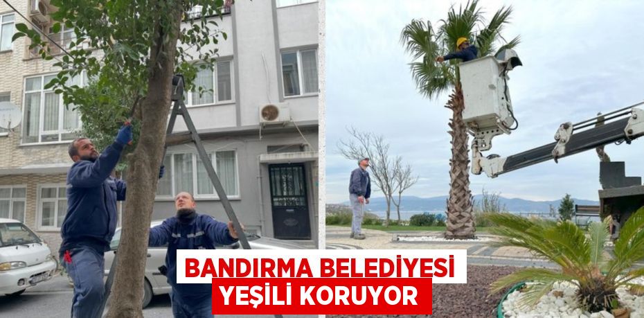 BANDIRMA BELEDİYESİ YEŞİLİ KORUYOR