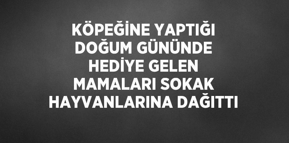 KÖPEĞİNE YAPTIĞI DOĞUM GÜNÜNDE HEDİYE GELEN MAMALARI SOKAK HAYVANLARINA DAĞITTI