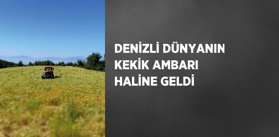 DENİZLİ DÜNYANIN KEKİK AMBARI HALİNE GELDİ