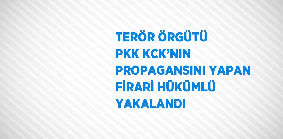 TERÖR ÖRGÜTÜ PKK KCK’NIN PROPAGANSINI YAPAN FİRARİ HÜKÜMLÜ YAKALANDI