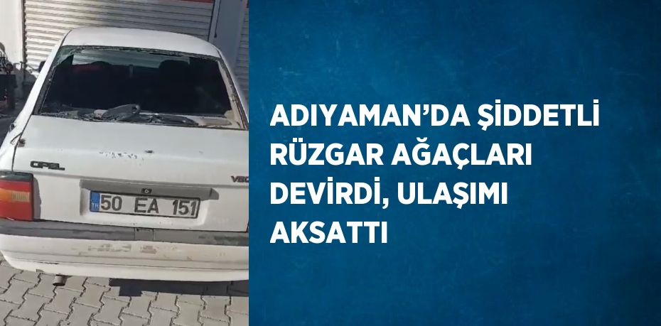 ADIYAMAN’DA ŞİDDETLİ RÜZGAR AĞAÇLARI DEVİRDİ, ULAŞIMI AKSATTI