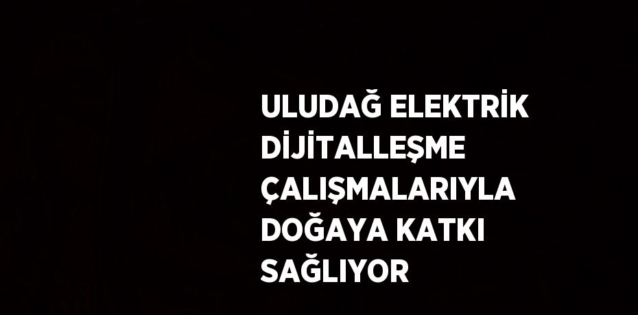 ULUDAĞ ELEKTRİK DİJİTALLEŞME ÇALIŞMALARIYLA DOĞAYA KATKI SAĞLIYOR